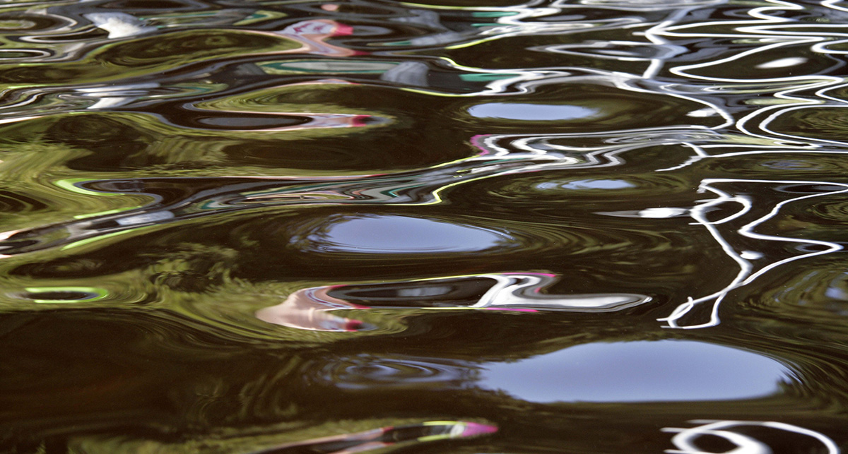 Moor lake on a summer day – Suse Güllert